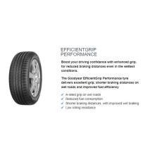 225/45WR18 G/YEAR EFI-GRP-PER 95WXL